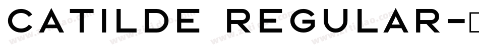 Catilde Regular字体转换